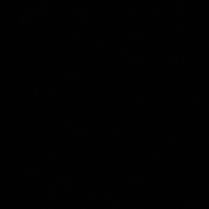 Meet your Posher, Alejandra